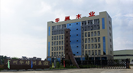 華洲環保發展史：1998 &mdash; 未來