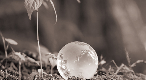 【品牌史詩】華洲：從木匠之心到全球板材巨頭的向上迸發