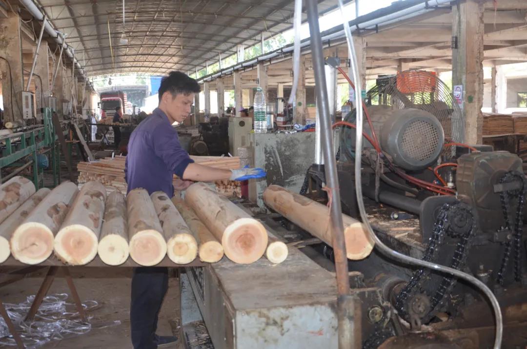 明星產品 | 華洲實木多層板誕生記！(圖2)