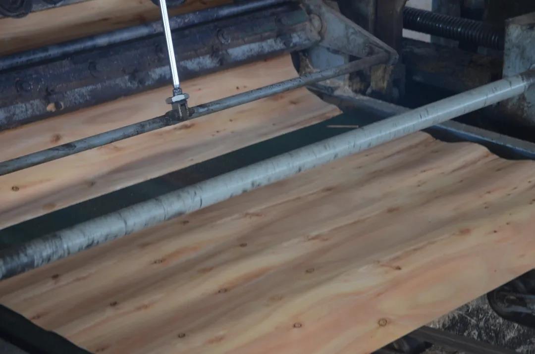 明星產品 | 華洲實木多層板誕生記！(圖4)