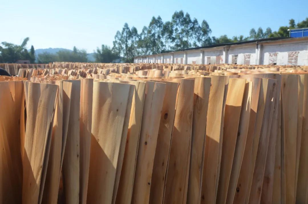 明星產品 | 華洲實木多層板誕生記！(圖7)