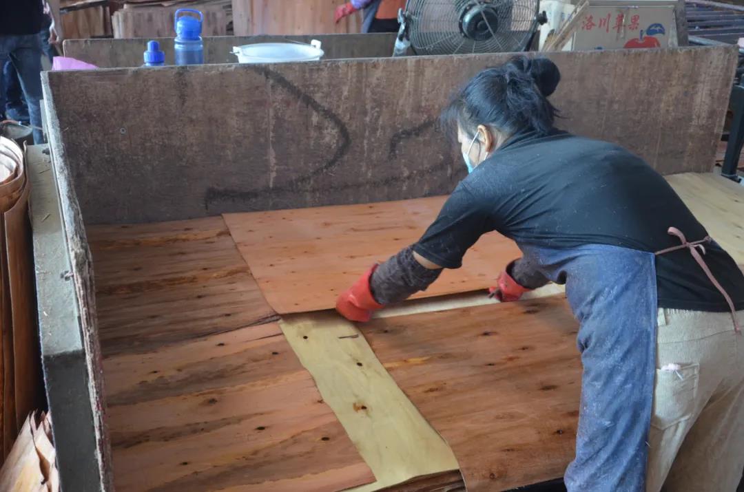 明星產品 | 華洲實木多層板誕生記！(圖12)