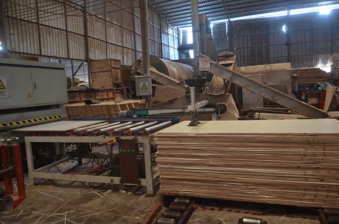 明星產品 | 華洲實木多層板誕生記！(圖18)