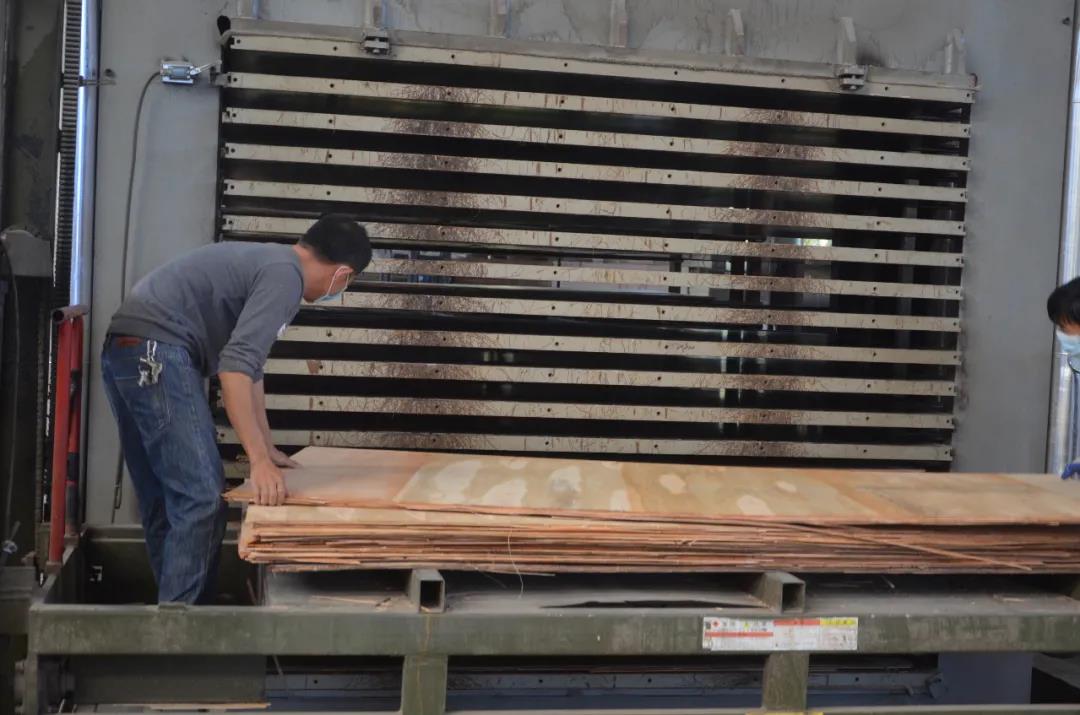 明星產品 | 華洲實木多層板誕生記！(圖15)