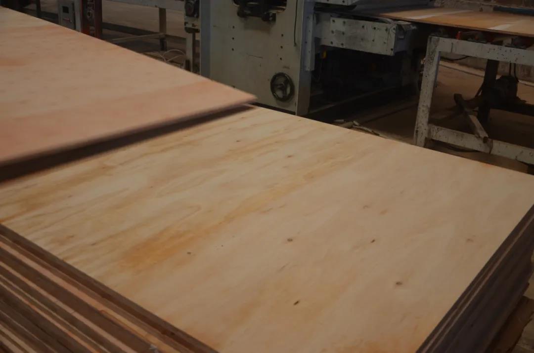 明星產品 | 華洲實木多層板誕生記！(圖16)