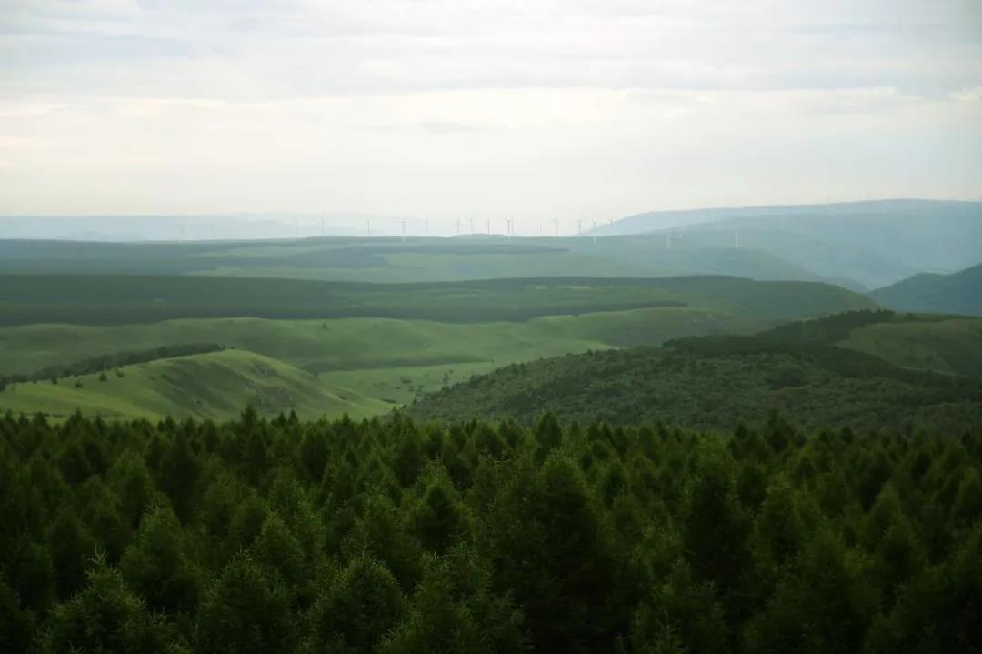 推薦 | 選華洲無醛添加實木顆粒板，讓家人遠離甲醛傷害！(圖1)