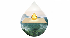 板材環(huán)不環(huán)保，看看膠水就知道！