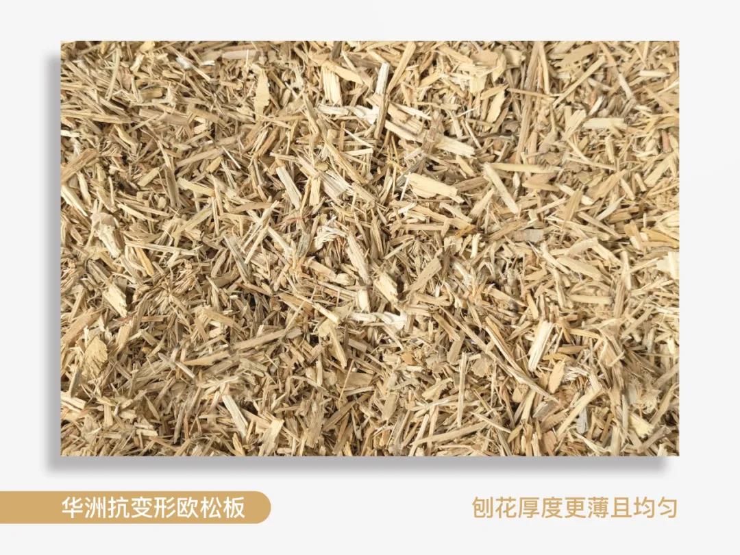 以不變應萬變，華洲抗變形歐松板！(圖1)