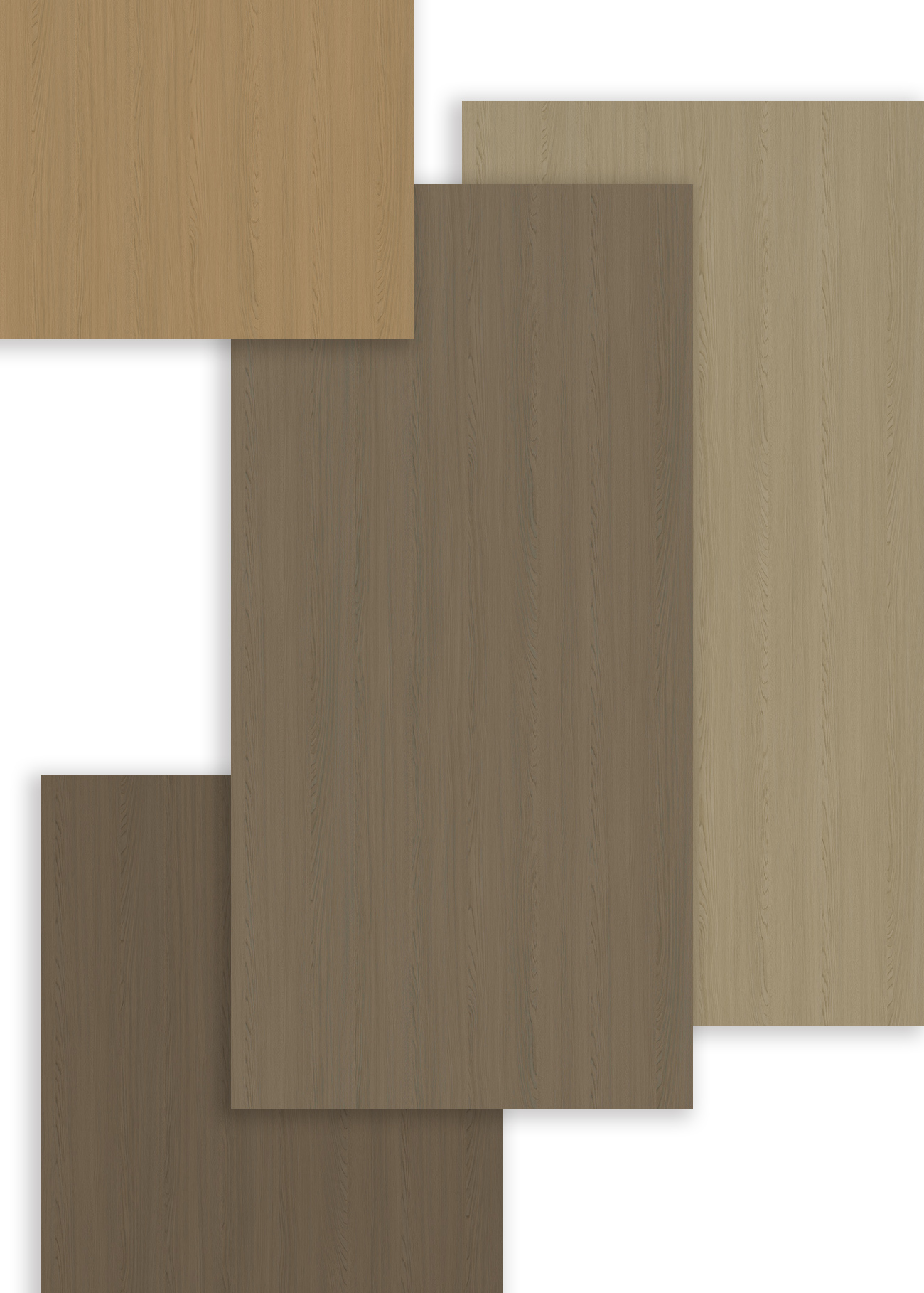 自然之歌的悠揚篇章——華洲同步木紋 ‖ 圣彼得堡榆木/黃榆/白榆/灰榆(圖2)