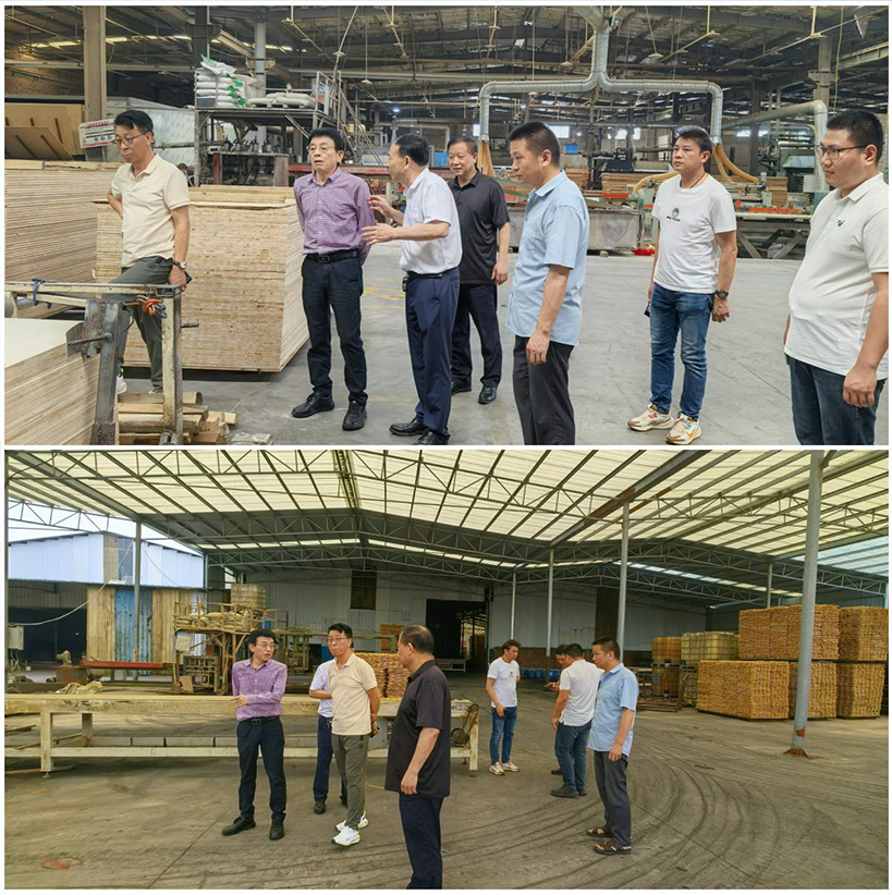 【綠色領航·智慧交融】華洲木業董事長率團深訪鐘氏木業，共譜江西綠色發展新篇章(圖4)